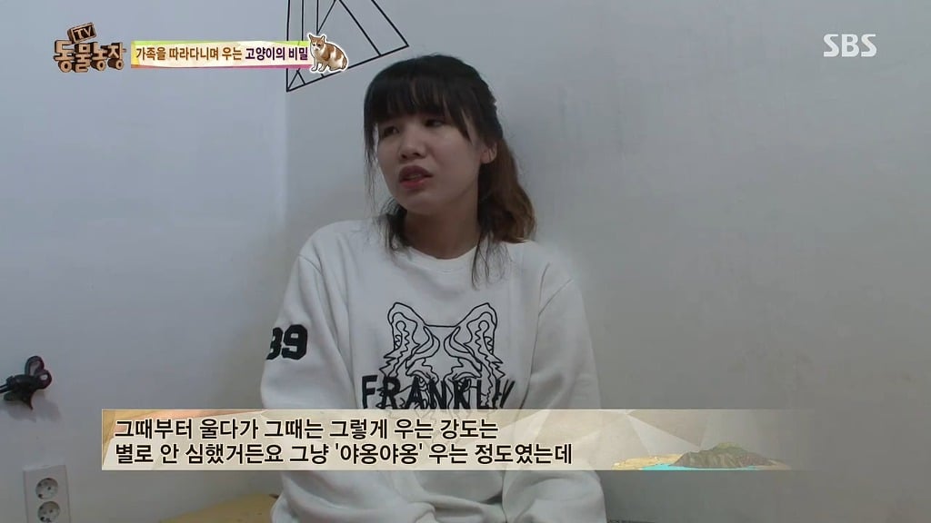 [동물농장] 존트 할말 다 하고 사는 수다쟁이 고양이 쪼롱이ㅋㅋㅋㅋ.jpg | 인스티즈