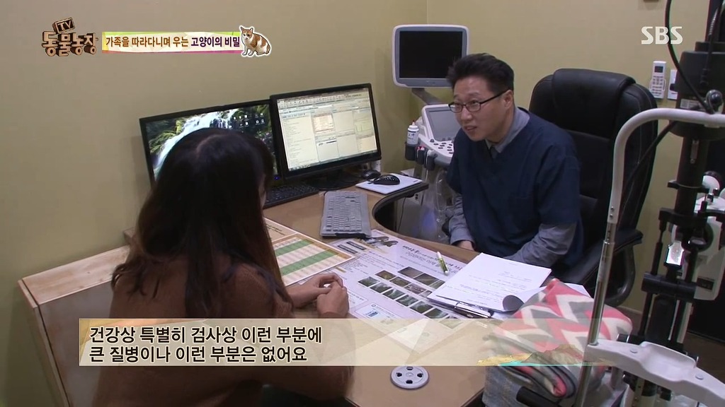 [동물농장] 존트 할말 다 하고 사는 수다쟁이 고양이 쪼롱이ㅋㅋㅋㅋ.jpg (스압) | 인스티즈