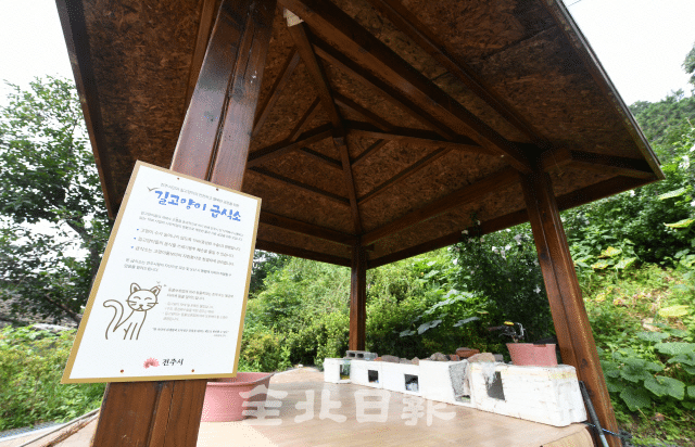 전주시를 사칭한 길고양이 급식소 | 인스티즈