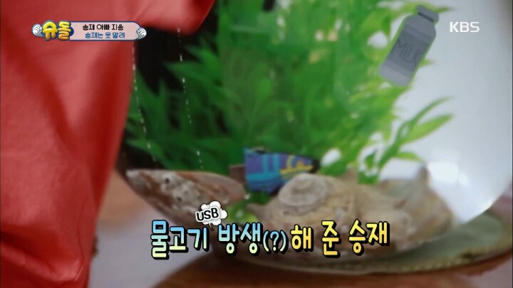 아빠의 중요 파일이 담긴 죽은 물고기를 어항에 넣어준 승재.jpg | 인스티즈
