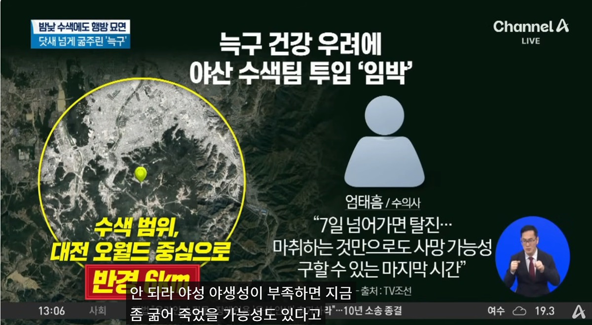 굶어 죽을 가능성도 있다는 늑구 | 인스티즈