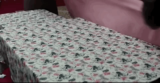 짝녀한테 까이고... 만년 백수인데 환갑잔치에서 마주쳤어요 ㅠㅠ.gif | 인스티즈