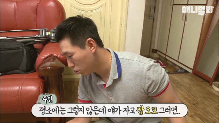 졸릴 때 건들면 열받는 강아지 | 인스티즈