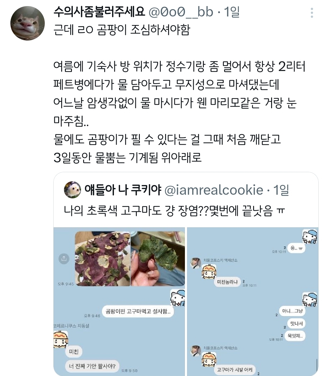 초록색 고구마 먹고 장염 걸린 사람.twt | 인스티즈