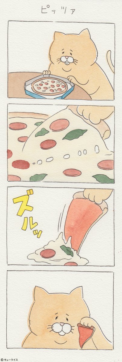 유감스러운 고양이 | 인스티즈