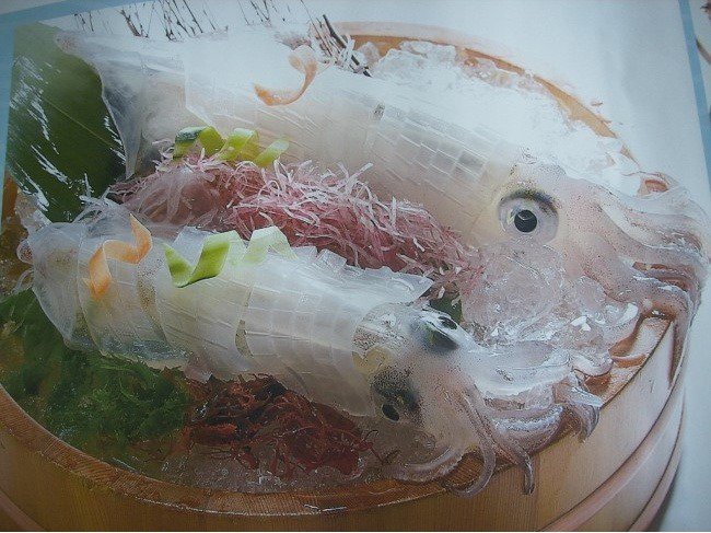 약간징그러움)일본의 오징어회.jpg | 인스티즈