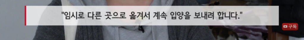 마산 애니멀 호더에게서 구조한 50여마리의 고양이들에게 손길을 내밀어주세요! 곧 쉼터가 폐쇄되어 아이들이 갈 곳이 없습니다 | 인스티즈