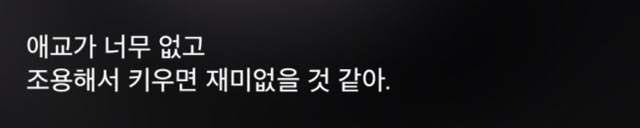 고양이 키우는 사람들이 들으면 상처받는 말들 | 인스티즈