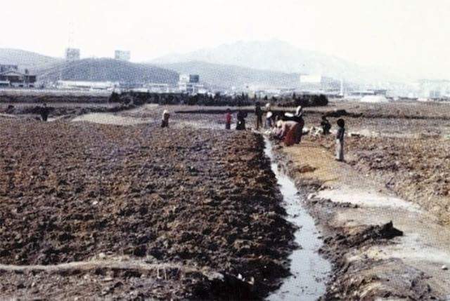 1960~80년대 서울 강남 | 인스티즈