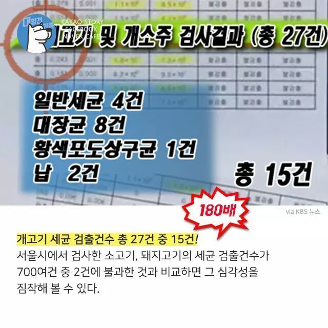 개고기를 먹지말아야 하는 설득력이 있는 이유 | 인스티즈