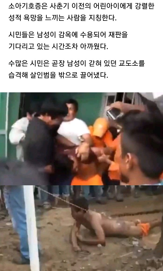 4살 소녀 성폭행 후 살해한 남성 때려죽인 볼리비아 시민들.jpg | 인스티즈