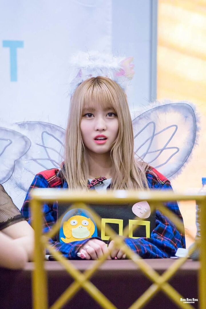 새벽의 트와이스 | 인스티즈