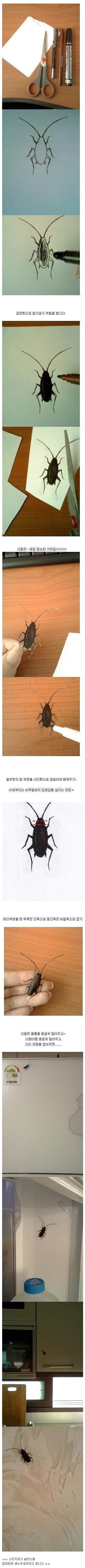  바퀴벌레 레전드 | 인스티즈