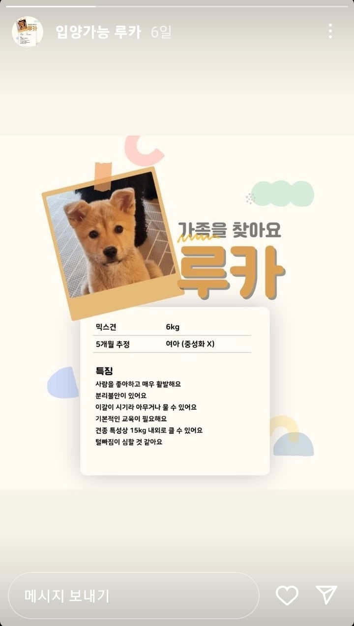 유기견 카페에서 강아지 때리고 발로 차는 아이와 부모반응 | 인스티즈