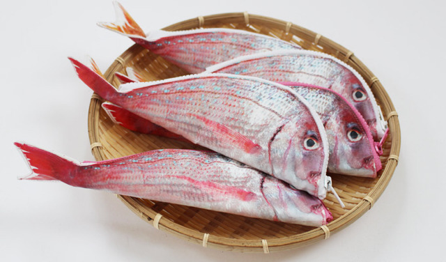 일본에서 판매하는 - 생선 필통 | 인스티즈