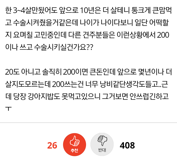 13살짜리 강아지한테 수술비 200쓰는건 아까울까요...jpg | 인스티즈