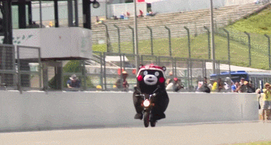 쿠마몬 떡방아 그이후.gif | 인스티즈