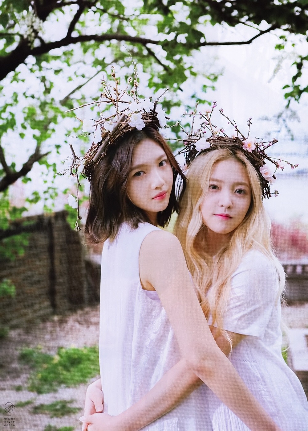 [레드벨벳] 예리 어딨니? 예부기 요즘 뭐하니? | 인스티즈