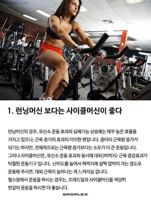 근육운동의 기본 | 인스티즈