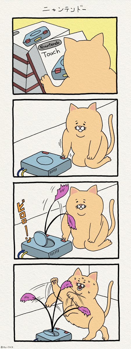 유감스러운 고양이 | 인스티즈