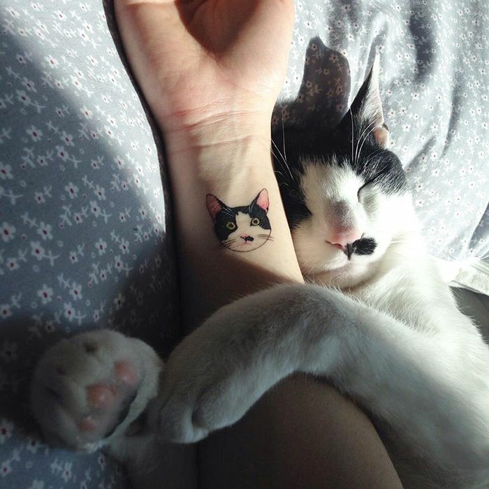 집사야 나랑 자자~ | 인스티즈