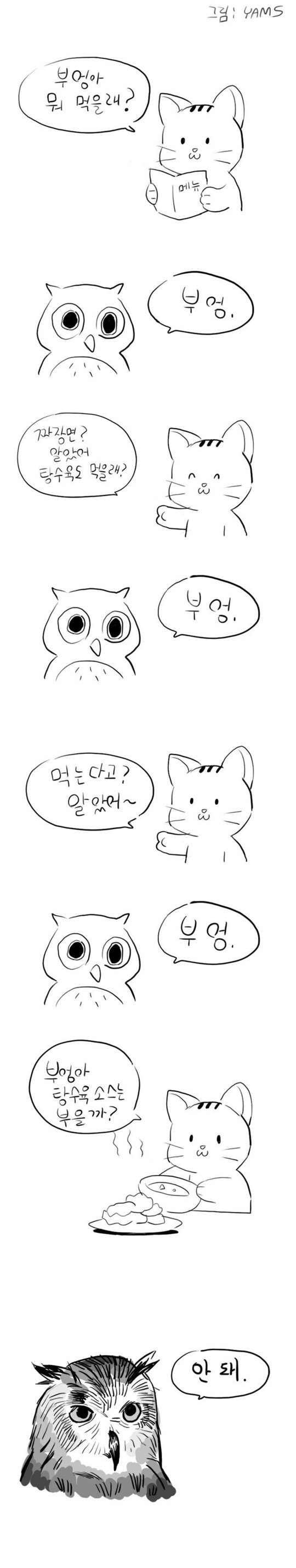 단호한 부엉이....jpg | 인스티즈