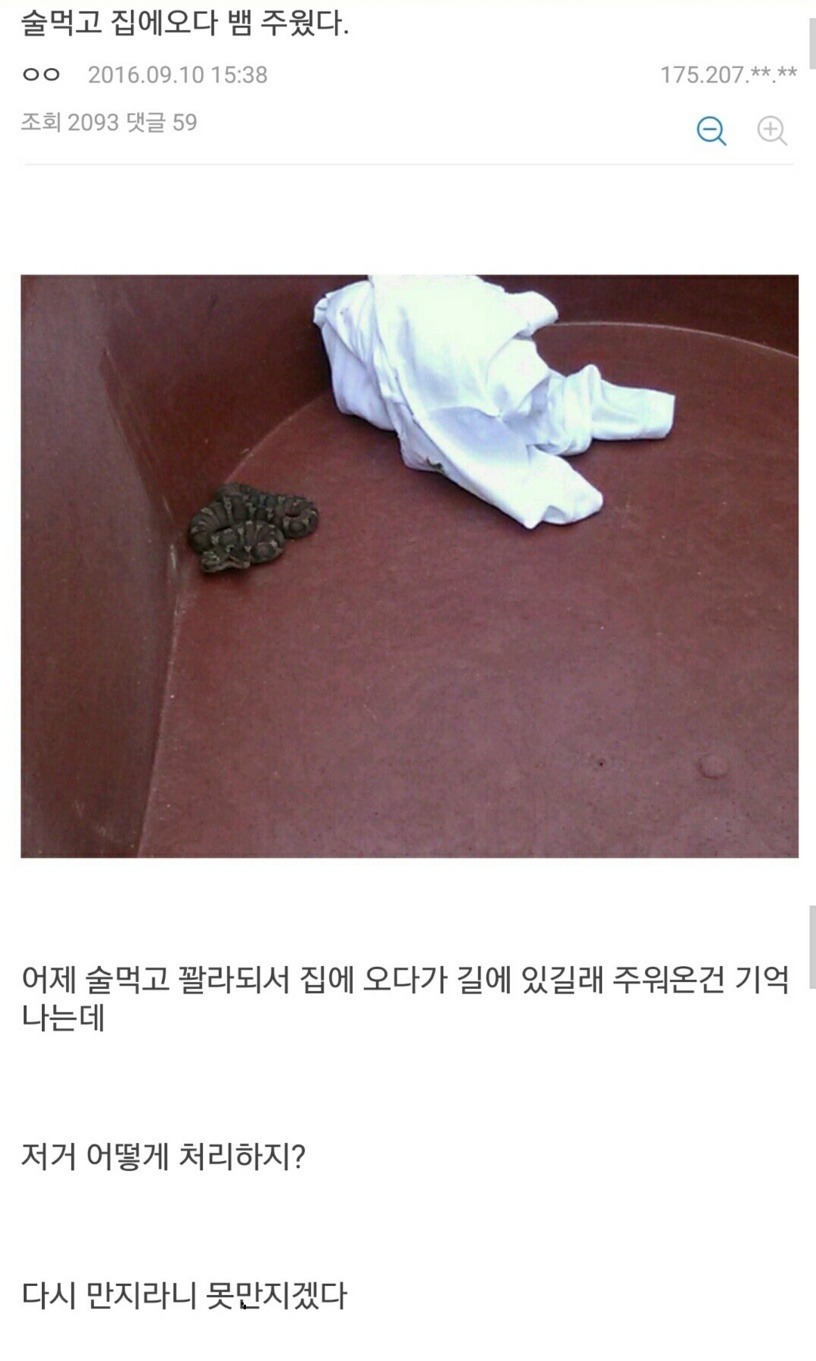 술먹고 집에 오다 뱀 주웠다 | 인스티즈