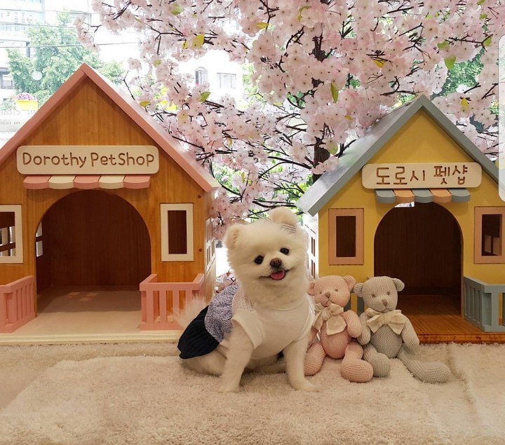 계 누구 없느니 | 인스티즈