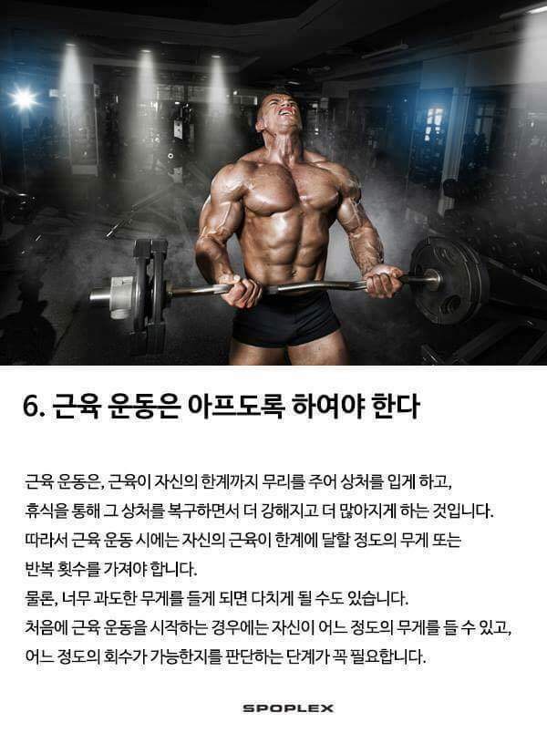근육운동의 기본 | 인스티즈