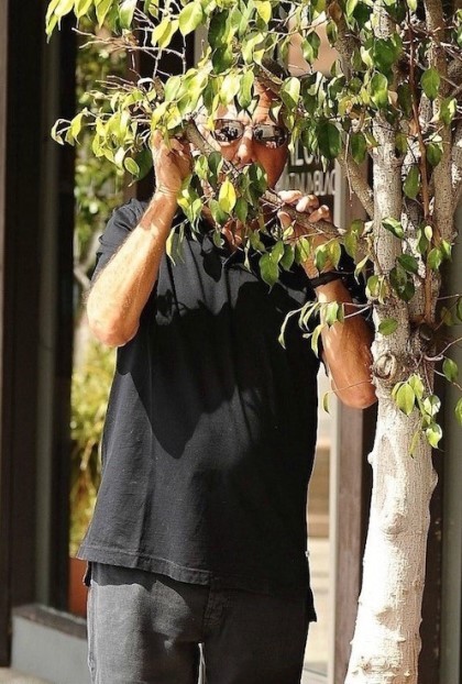 스타들의 다양한 파파라치 반응jpg | 인스티즈