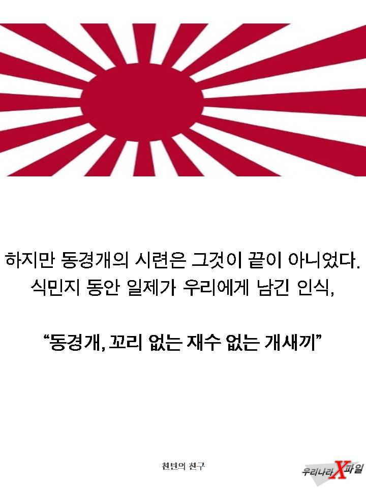 충격적인 개의 실체 ㄷㄷㄷㄷㄷ.JPG | 인스티즈