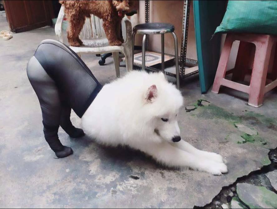 하얀 몸에 터질듯한 허벅지 검스.. | 인스티즈