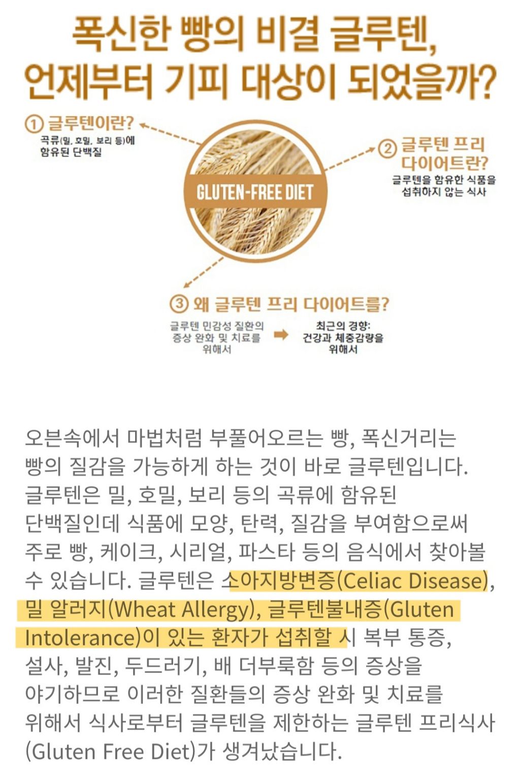 글루텐에게 사과하세요! 글루텐 프리 다이어트에 대한 오해와 진실 | 인스티즈