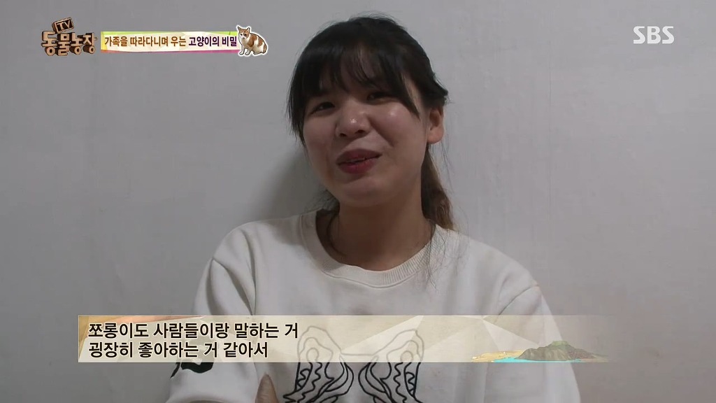 [동물농장] 존트 할말 다 하고 사는 수다쟁이 고양이 쪼롱이ㅋㅋㅋㅋ.jpg | 인스티즈