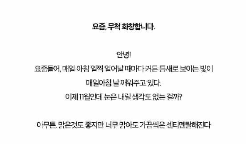 보아가 일본 블로그 방문자 1위하던 시절 올린 글들과 사진 | 인스티즈