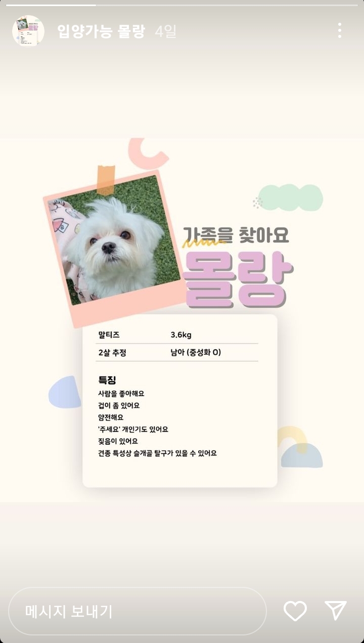 유기견 카페에서 강아지 때리고 발로 차는 아이와 부모반응 | 인스티즈