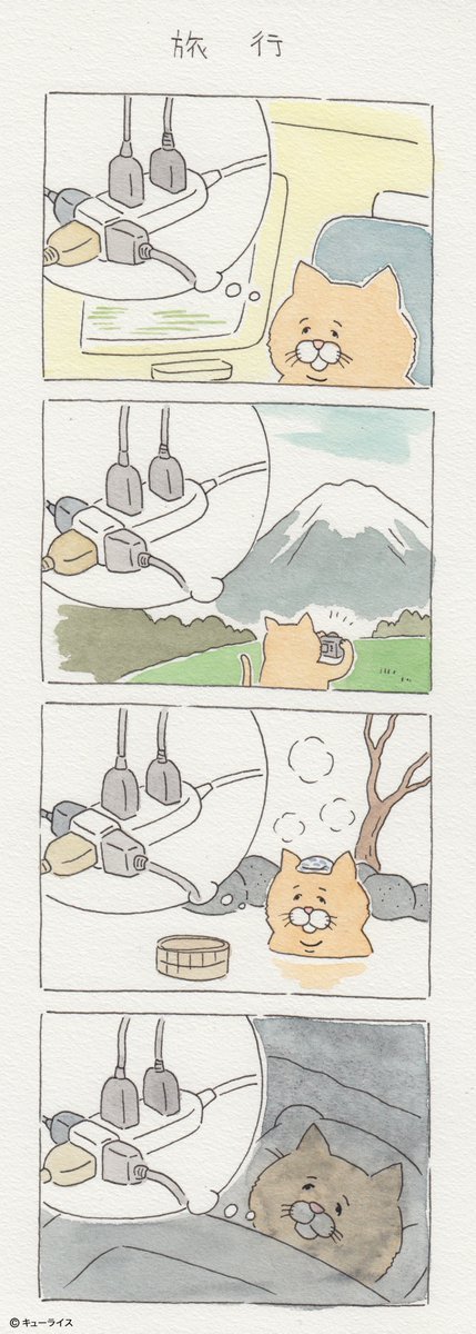 유감스러운 고양이 | 인스티즈