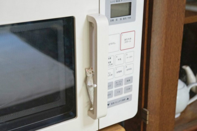 냥이들 깨우는 방법 | 인스티즈