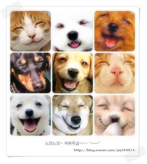미소와 쪼개는 것의 차이.jpg | 인스티즈