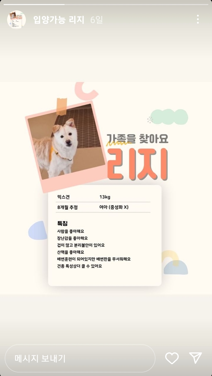 유기견 카페에서 강아지 때리고 발로 차는 아이와 부모반응 | 인스티즈