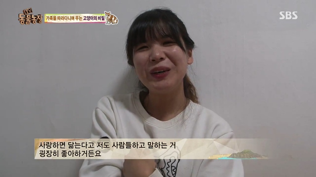 [동물농장] 존트 할말 다 하고 사는 수다쟁이 고양이 쪼롱이ㅋㅋㅋㅋ.jpg | 인스티즈