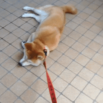 혼자 가라고 씨바.gif | 인스티즈