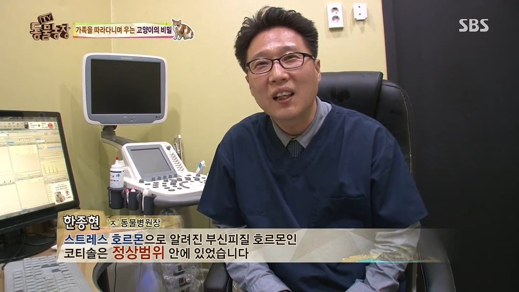 [동물농장] 존트 할말 다 하고 사는 수다쟁이 고양이 쪼롱이ㅋㅋㅋㅋ.jpg | 인스티즈