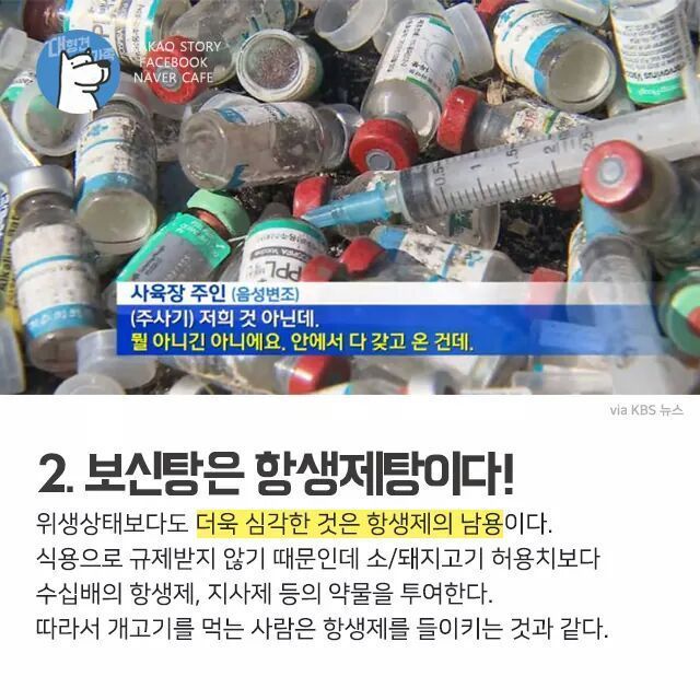 개고기를 먹지말아야 하는 설득력이 있는 이유 | 인스티즈