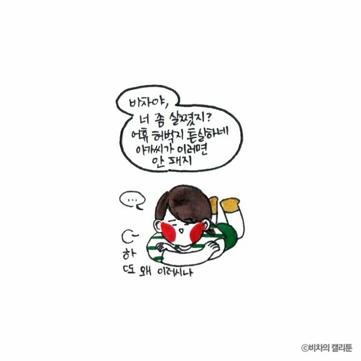 [비차의캘리툰] 프리사이즈가 아니잖아 | 인스티즈