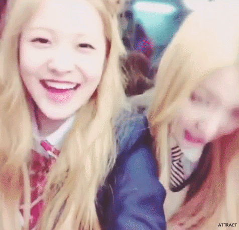 [레드벨벳] 예리 어딨니? 예부기 요즘 뭐하니? | 인스티즈