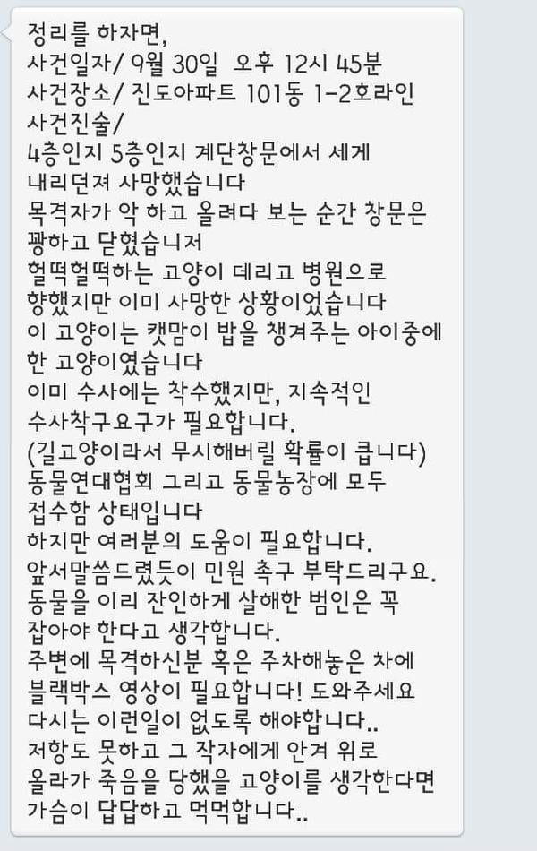 경기도 남양주시에서 길고양이를 폭행 후 창밖으로 던져 사망하게 한 일이 발생했긔 (고양이 시체사진 있긔) | 인스티즈