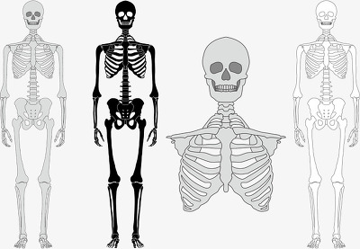 한번하는데 100만원인 바디 클리닝이 있다면 당신의 선택은? | 인스티즈