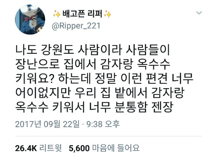 강원도 사람이라 사람들이 집에서 감자나 옥수수 키우냐고 묻는데.jpg | 인스티즈