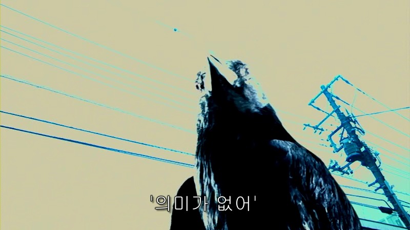 [영화] 혐오스런 마츠코의 일생 -30- | 인스티즈
